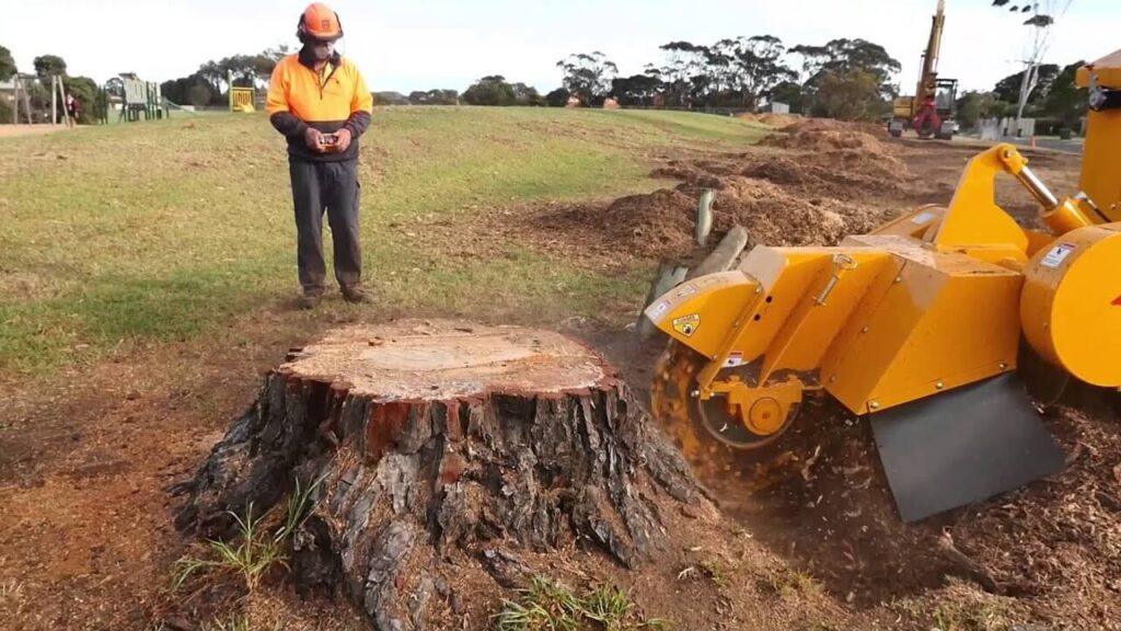 Stump Grinding Service