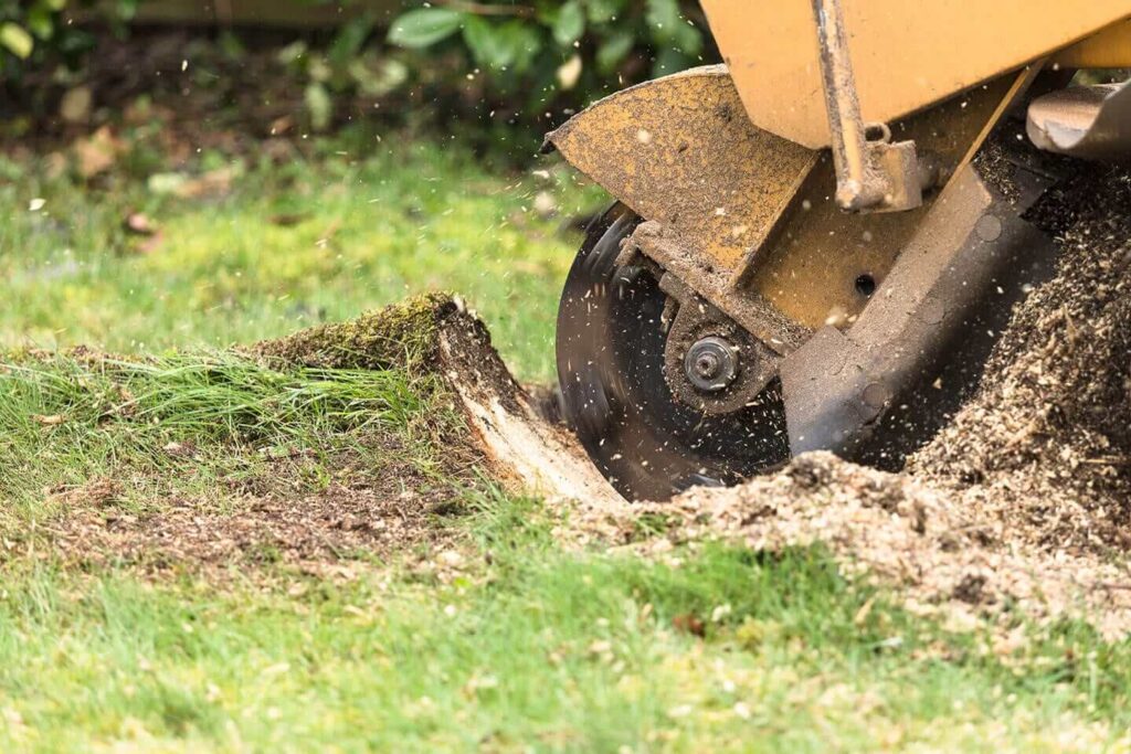 Stump Grinding Service