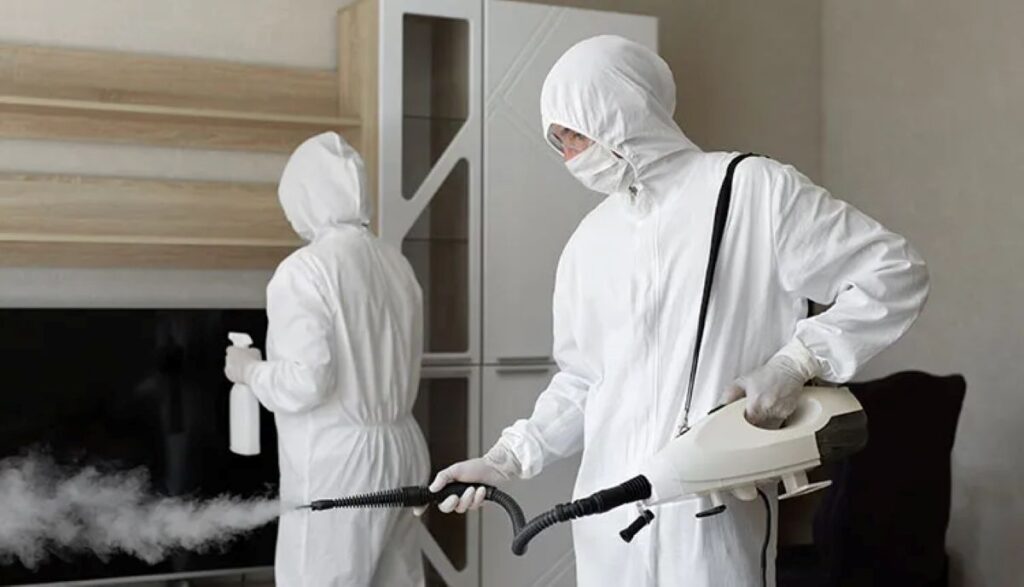 Pest Control in Sydney